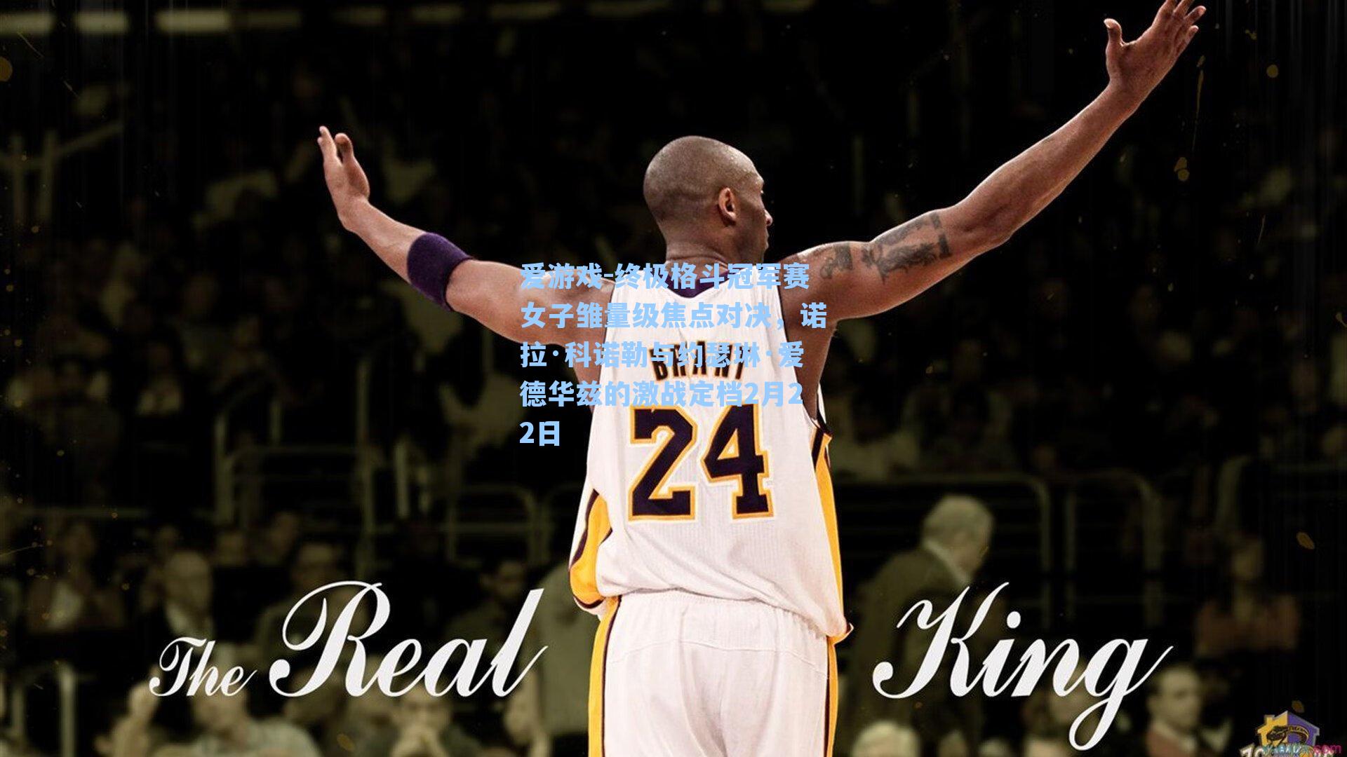 终极格斗冠军赛女子雏量级焦点对决，诺拉·科诺勒与约瑟琳·爱德华兹的激战定档2月22日